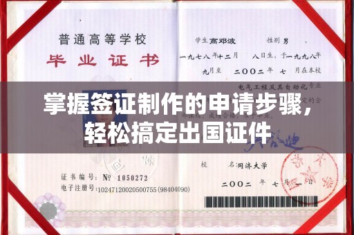 云岩掌握签证制作的申请步骤，轻松搞定出国证件